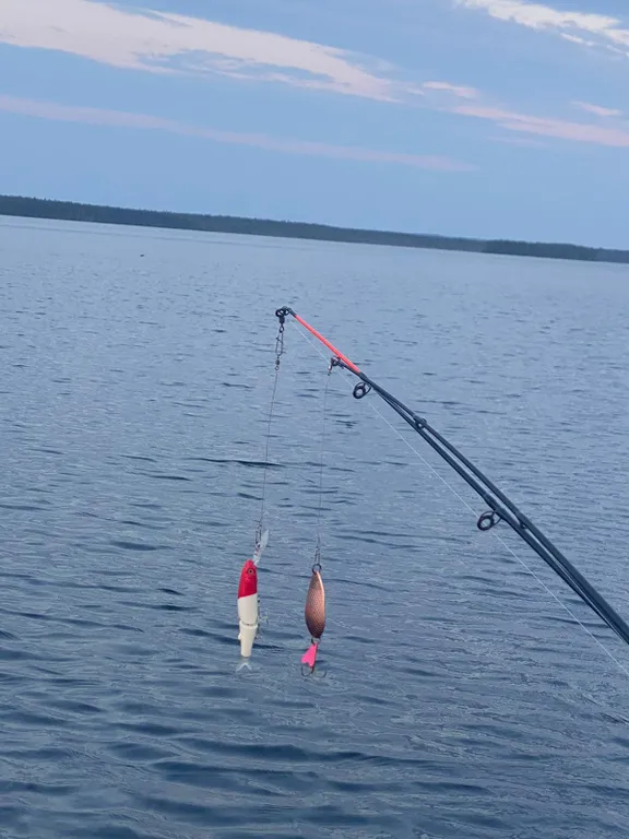Дом прямо на берегу Беломоро-Балтийского канала "Дикая клюква"