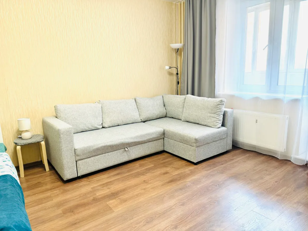 Просторная однокомнатная квартира