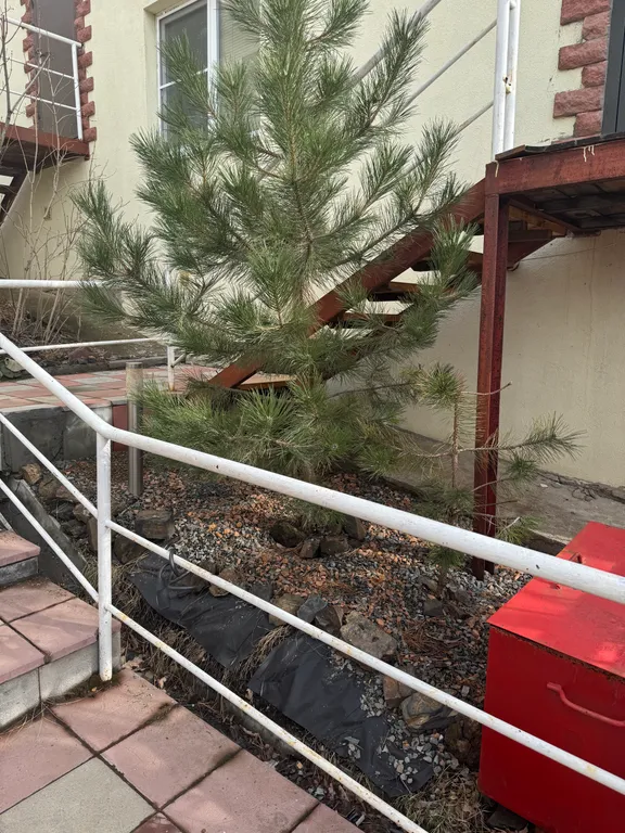 Уютное бунгало рядом с ГЛЦ