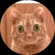 Ernest