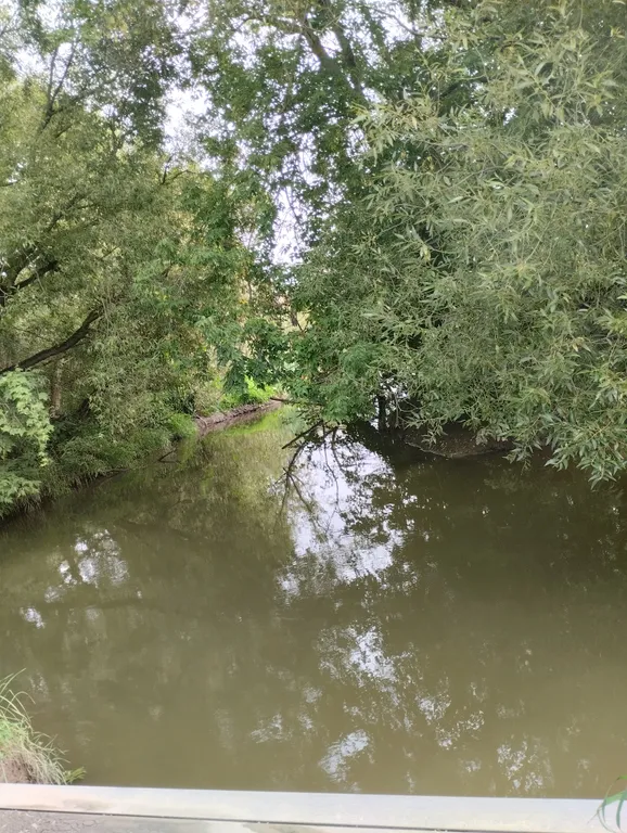 Дом у реки Ленинские горки, рыбалка, лес