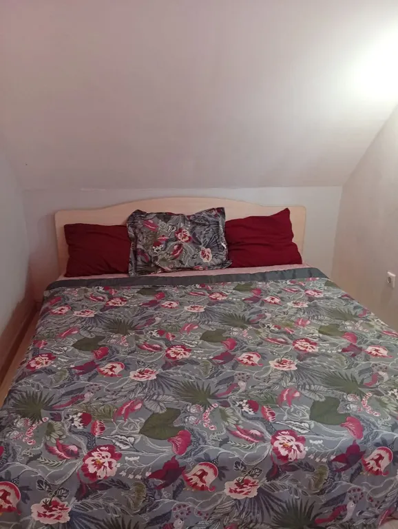 Коттедж в центре с баней и банным чаном