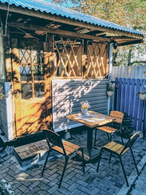 Дом васильки