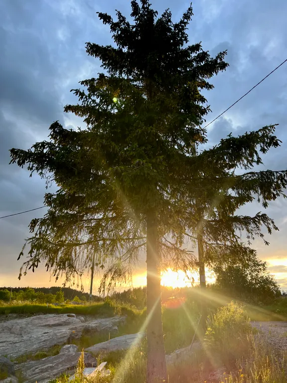 Коттедж Гостевые дома Ель — аренда посуточно в Лахденкюля