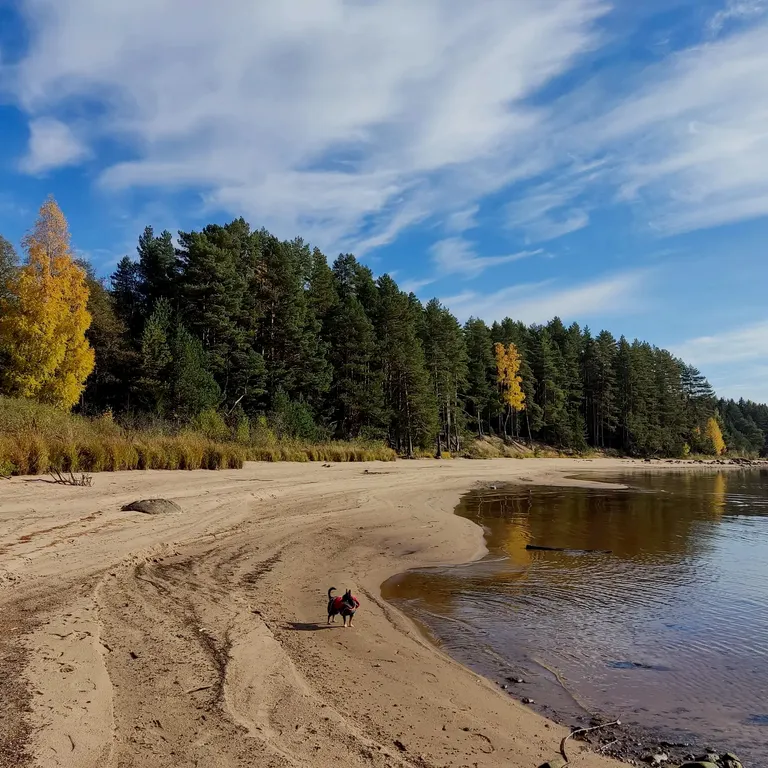 Коттедж Дизайнерский коттедж на берегу озера Волго на Селигере — Турбаза Чайка
