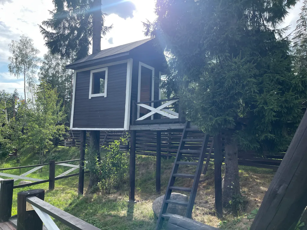 Лесная сказка 250