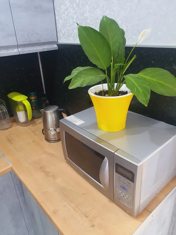 Уютная квартира в стиле лофт