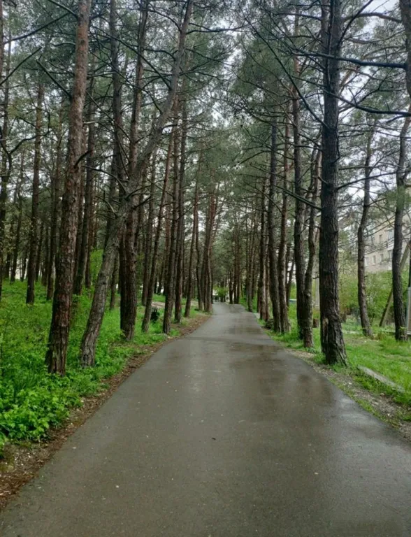 Квартира 3-комнатная Квартира — Геленджик