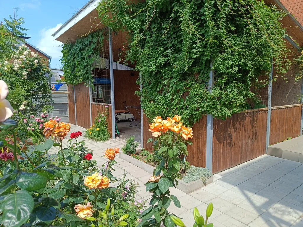 Апартаменты у моря