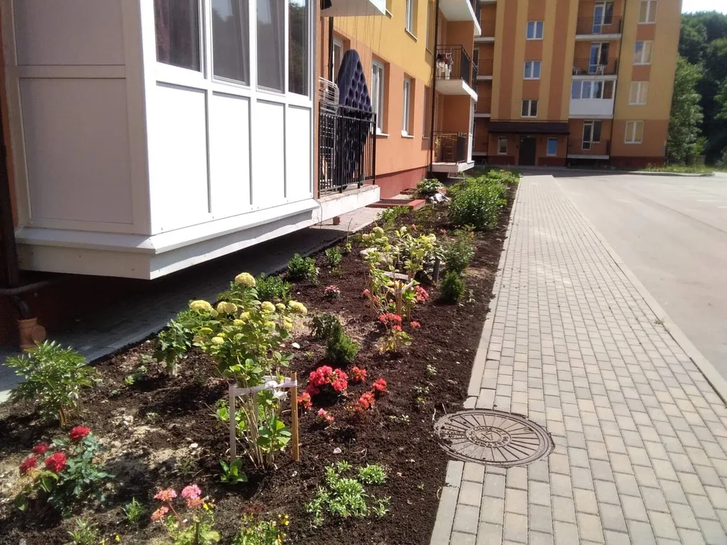 Апартаменты у моря