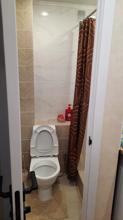 Квартира-студия гостиничного типа