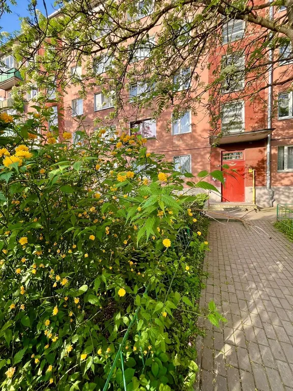 Квартира Квартира Студия в самом центре Калининграда — Калининград