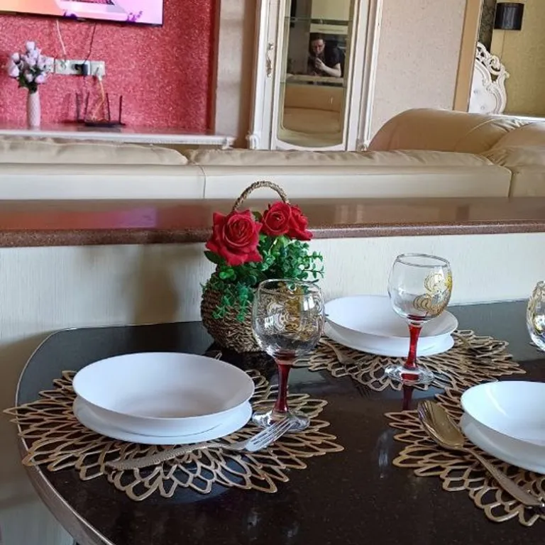 Трёхкомнатная квартира RichHouse на Новосёлов 8