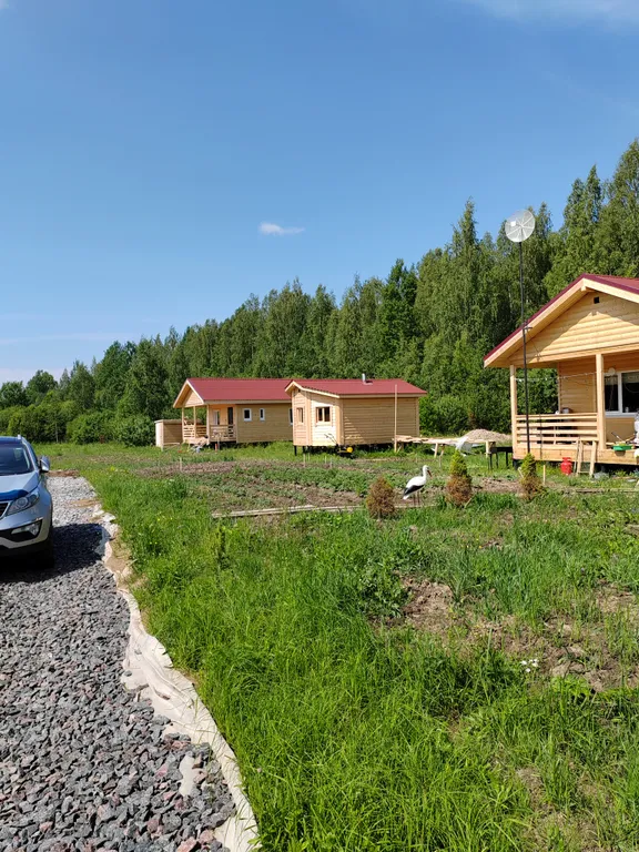 Коттедж Дом с видом на лес база Карловка — Чудово