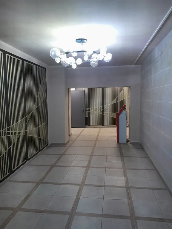 Студия в сосновом бору