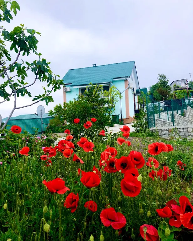 Квартира Апартаменты с видом на море — аренда посуточно в Партенит