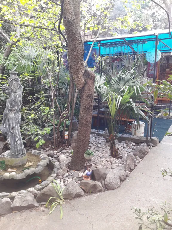 Коттедж Коттедж Сдам котедж с беседкой и мангальной зоной в центре Ялты — Ялта