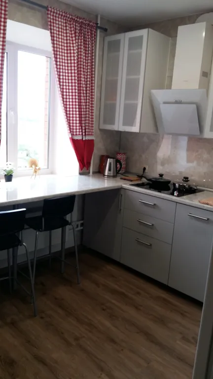 Квартира 1-комнатная Квартира — Луга