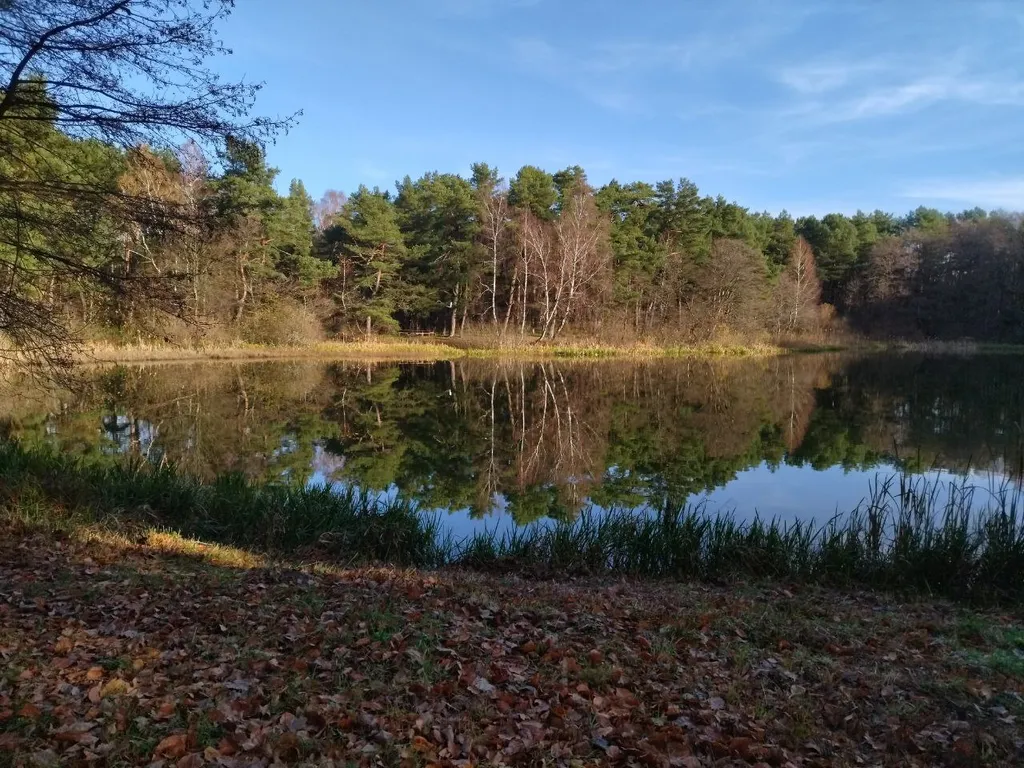Коттедж Гостевой Дом Ветрово — Сосновка