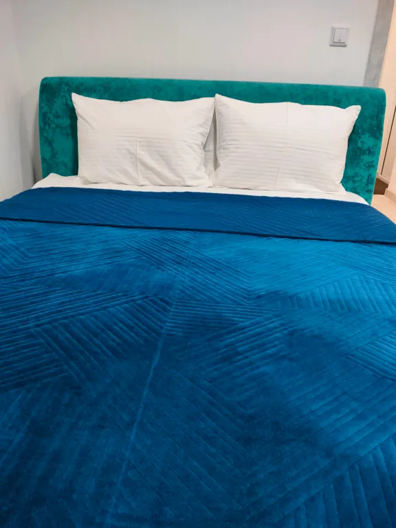 Уютная студия в академическом районе