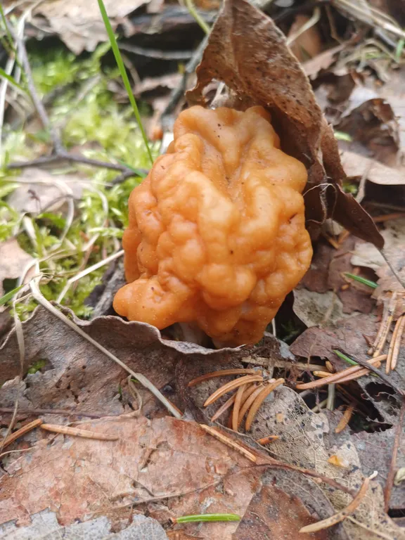 Гостевой Дом у Нерли