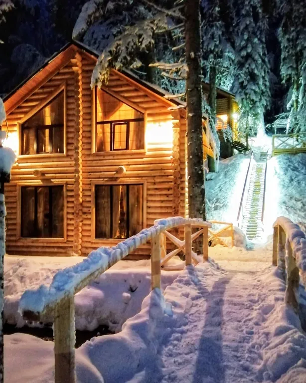 Домик в лесу до 8 человек