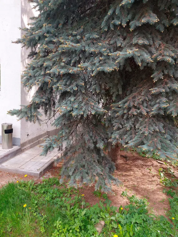 Загородный дом для праздника