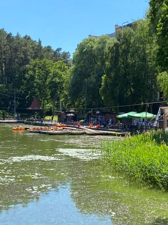 Квартира Уютная квартира в центре города — Светлогорск