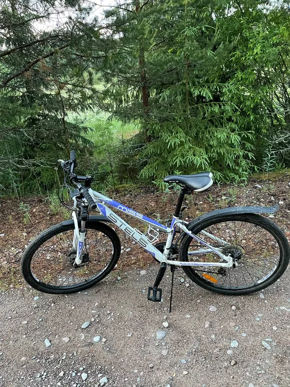 Глэмпинг Ракита