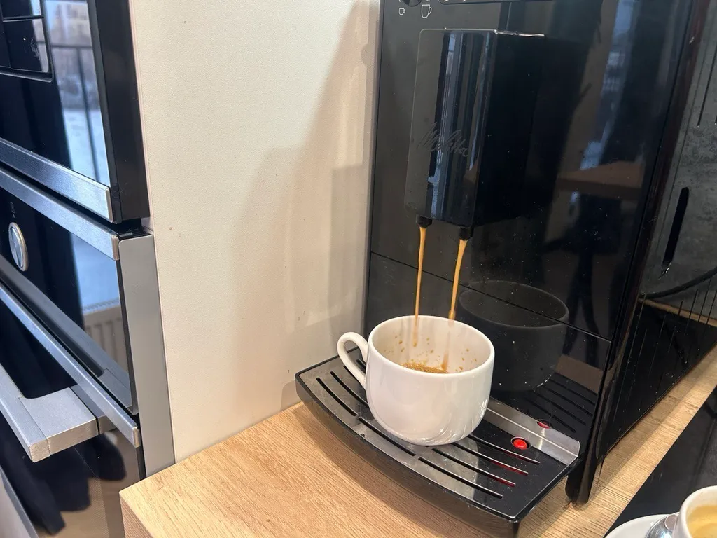 Современная студия с террасой