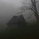 Никита