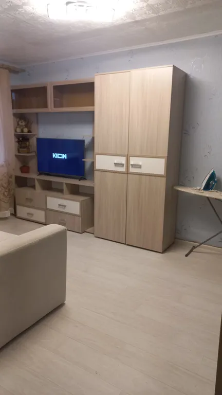 Уютная однокомнатная квартира