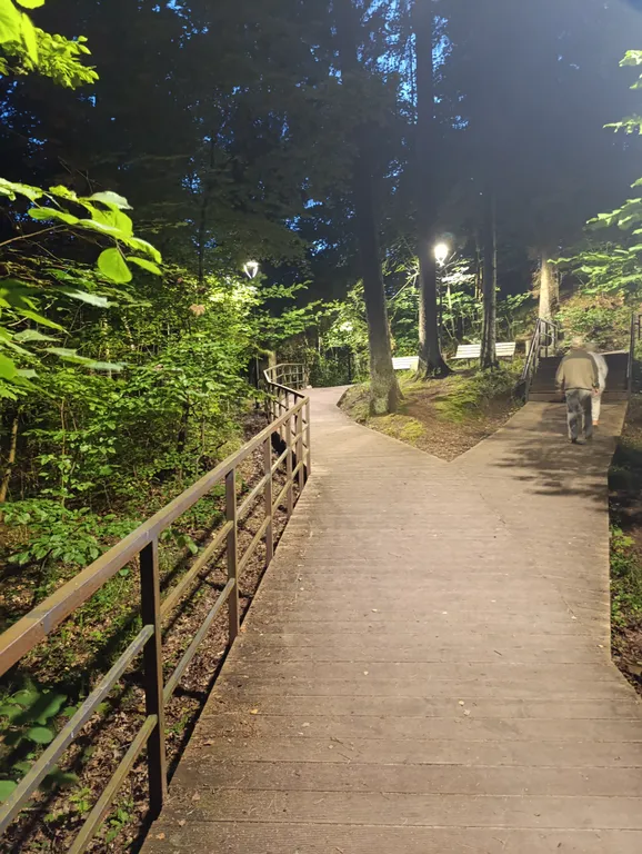 Квартира Квартира Уютная студия 33 м. Кв. С 2 кроватями, у моря с видом на лес — Светлогорск