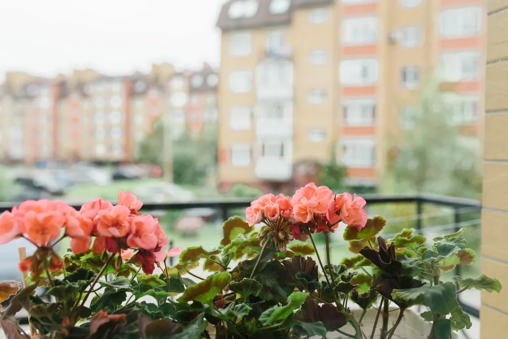 Удобная квартира для туристов