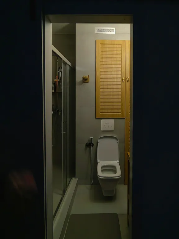 Умная квартира около Аэропорта, Алисин дом