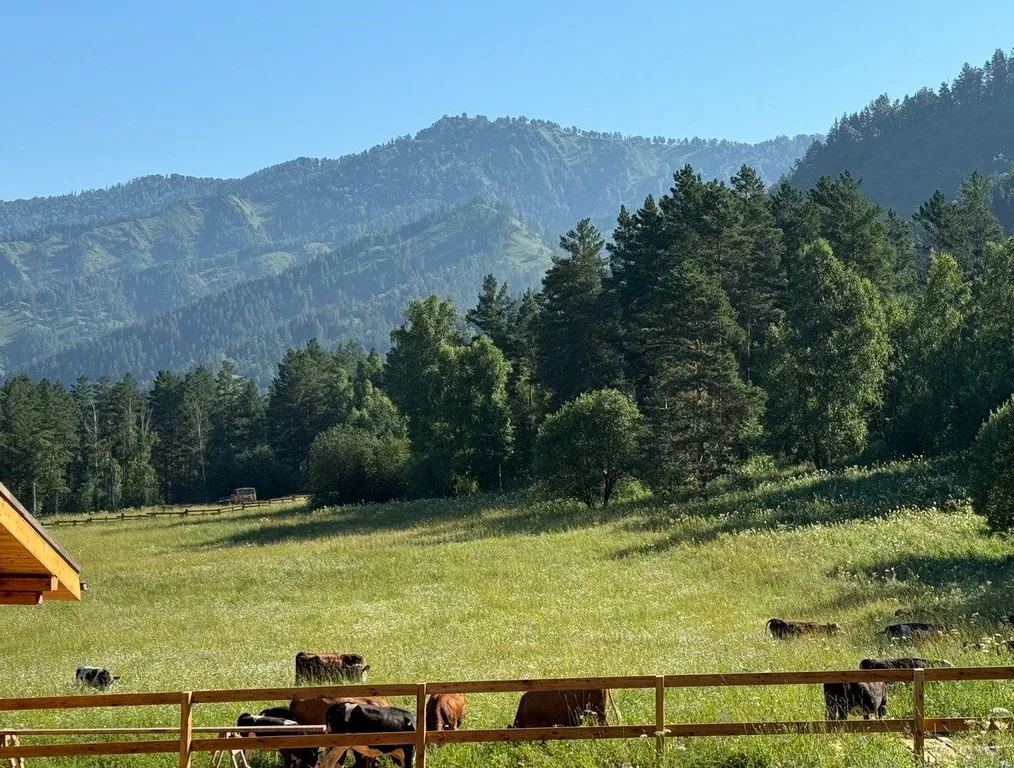 Шале романтика