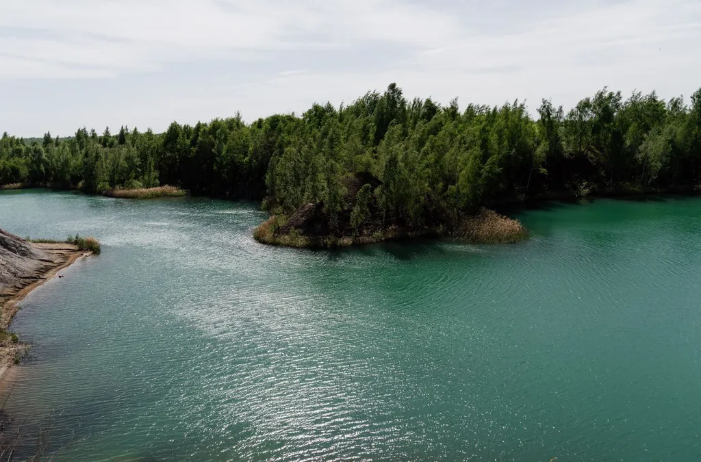Коттедж Бобер Шале — Донской