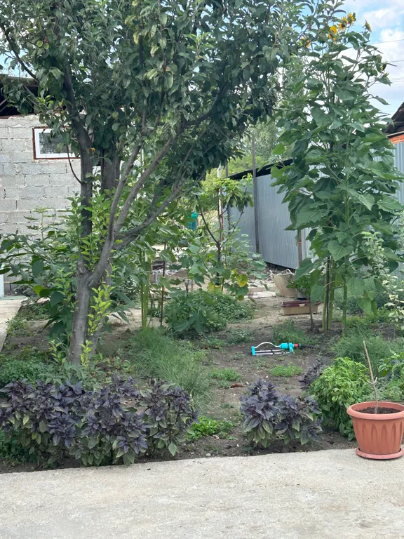 Гостевой дом Олива