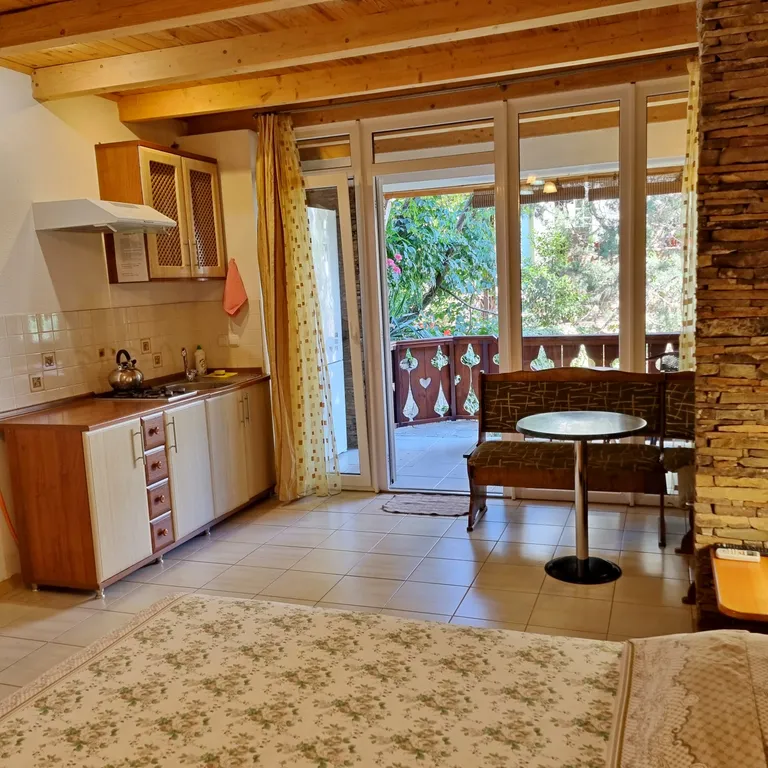 Номер-студио с видом на сад