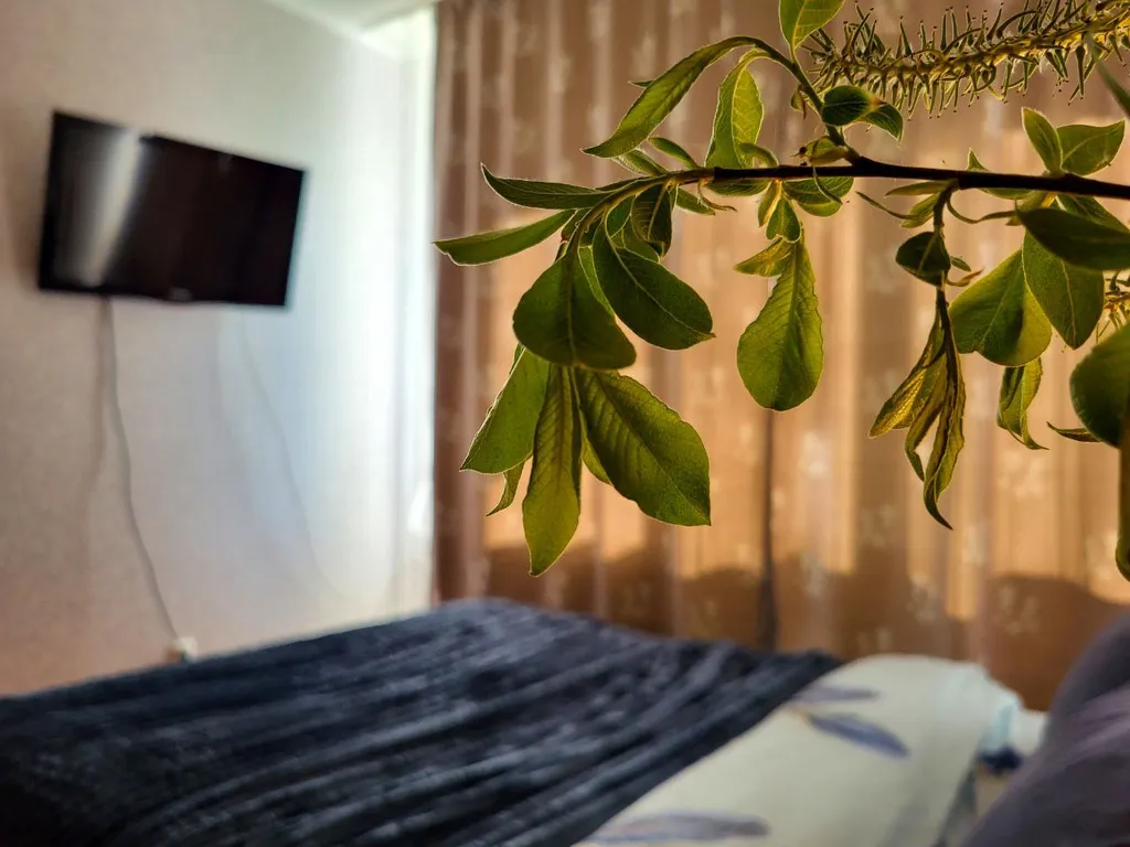 Рядом с центром, дивизий и аквапарком