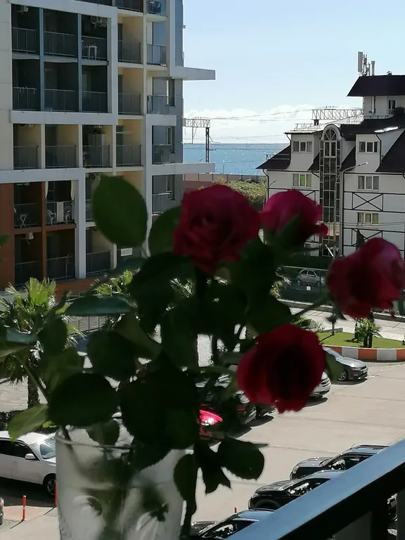 Уютная студия в ЖК Каравелла Португалии с бассейном на берегу моря