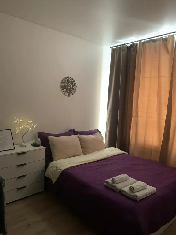 Уютнейшая студия в Ватутинках