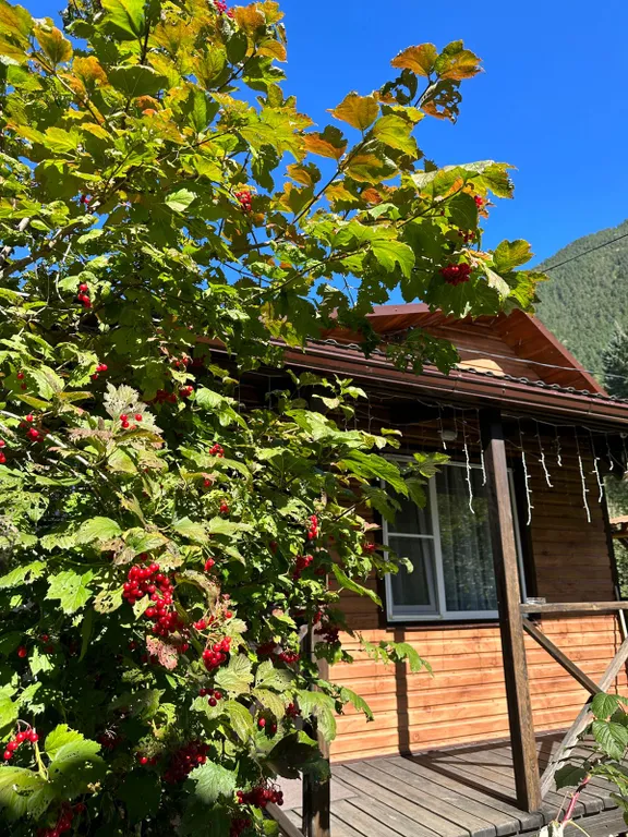 Уютный коттедж с видом на горы