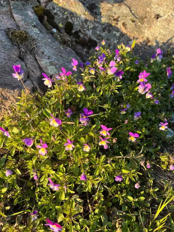 Уютный уголок для путешественников