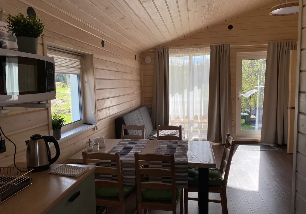 Карельский скандидомик с сауной