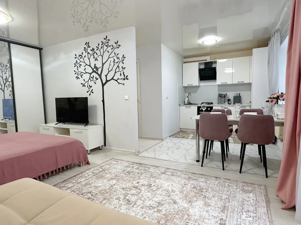 Студия в 5 минутах пешком до набережной Советская 95