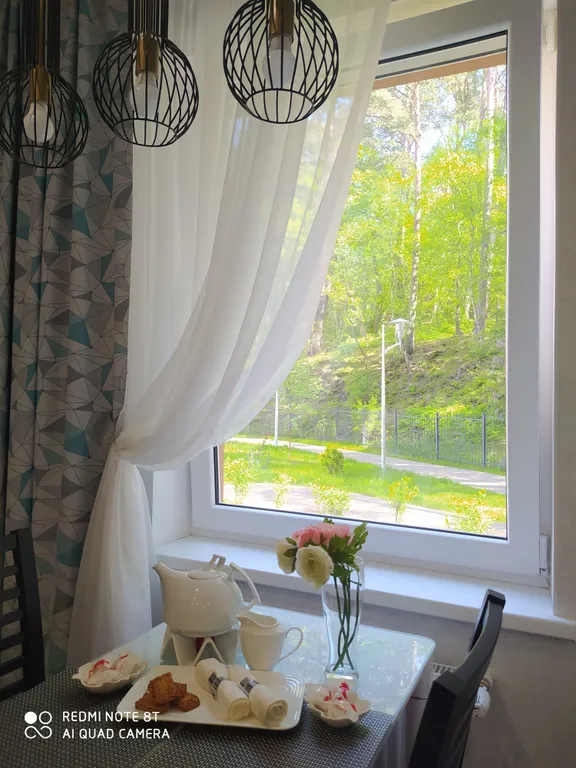 Квартира Уютная квартира с видом на лес — Светлогорск