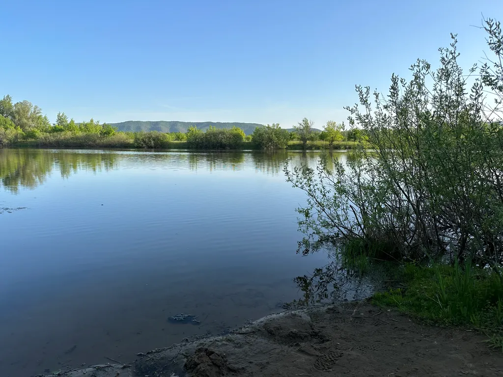 Деревянный домик с русской банькой в Большой Царевщине