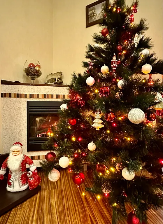 Квартира в самом центре — аренда посуточно в Псков