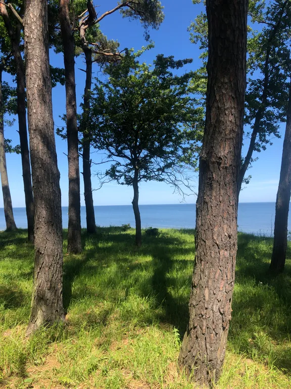 Дом с видом на Балтийское море